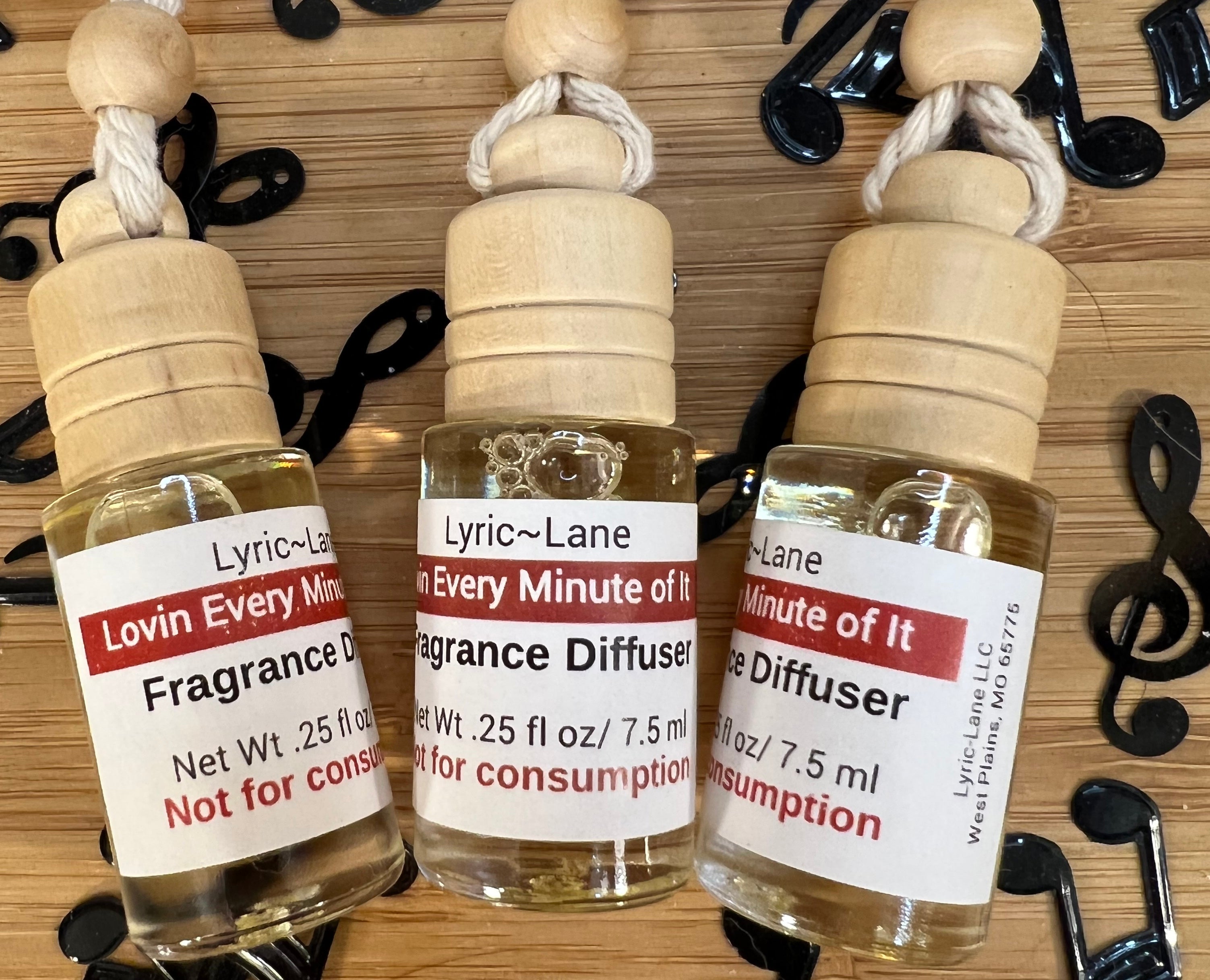 Lovin' Every Minute of It Hanging Air Freshener